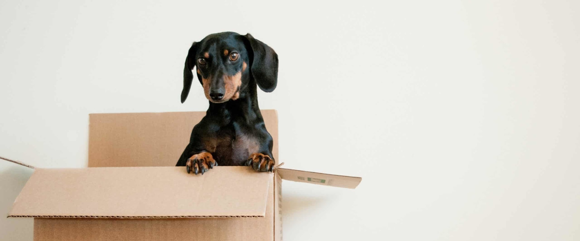 Essential Steps for a Smooth Move