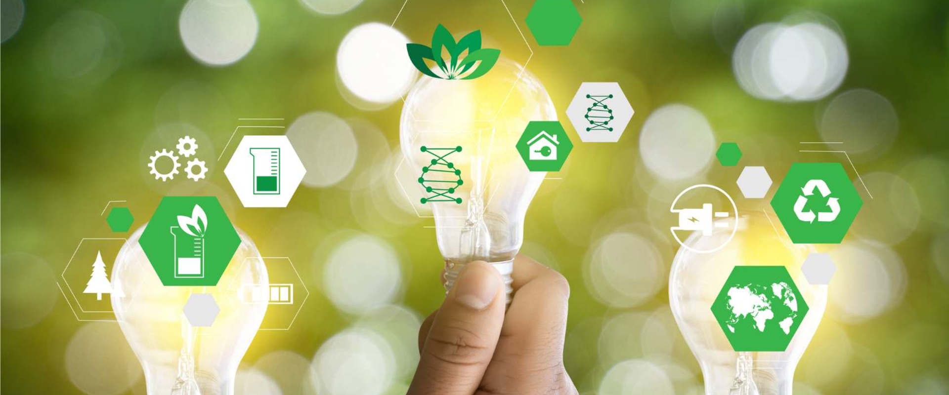 Making Moves with a Commitment to Sustainability