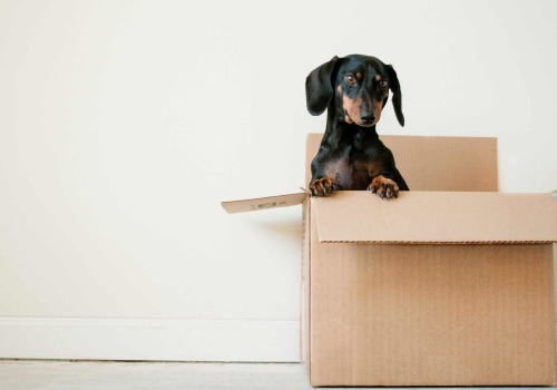 Essential Steps for a Smooth Move